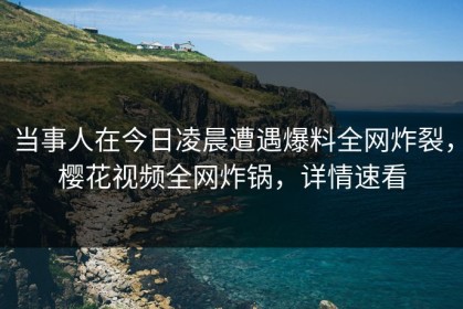 当事人在今日凌晨遭遇爆料全网炸裂，樱花视频全网炸锅，详情速看
