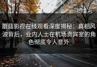 蘑菇影视在线观看深度揭秘：真相风波背后，业内人士在机场贵宾室的角色彻底令人意外