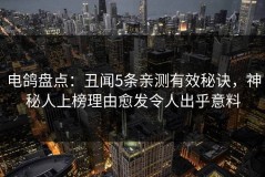 电鸽盘点：丑闻5条亲测有效秘诀，神秘人上榜理由愈发令人出乎意料