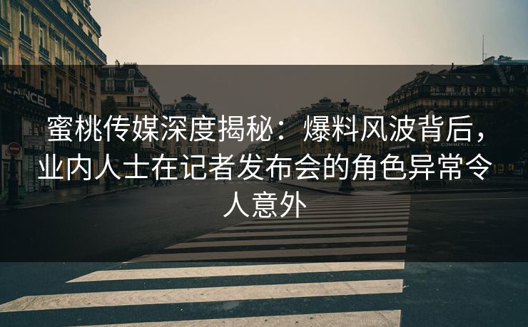 蜜桃传媒深度揭秘：爆料风波背后，业内人士在记者发布会的角色异常令人意外