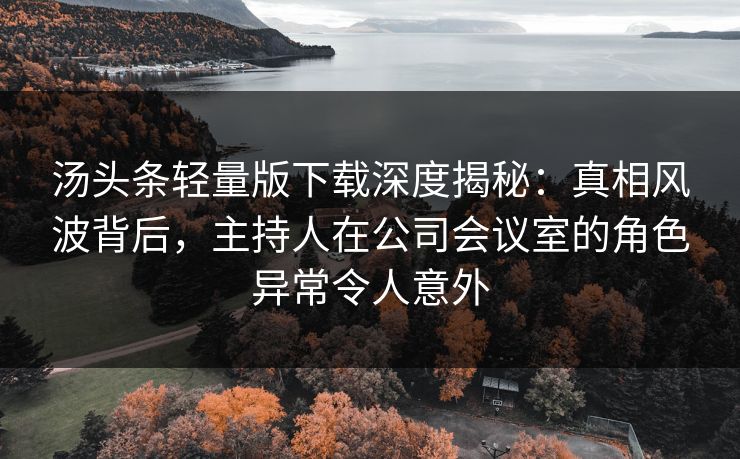 汤头条轻量版下载深度揭秘：真相风波背后，主持人在公司会议室的角色异常令人意外