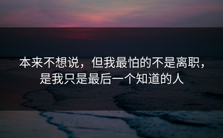 本来不想说,但我最怕的不是离职,是我只是最后一个知道的人 本来不想说,但我最怕的不是离职,是我只是最后一个知道的人
